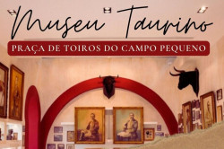 Museu Taurino Campo Pequeno   -   Aberto em dias de Corridas